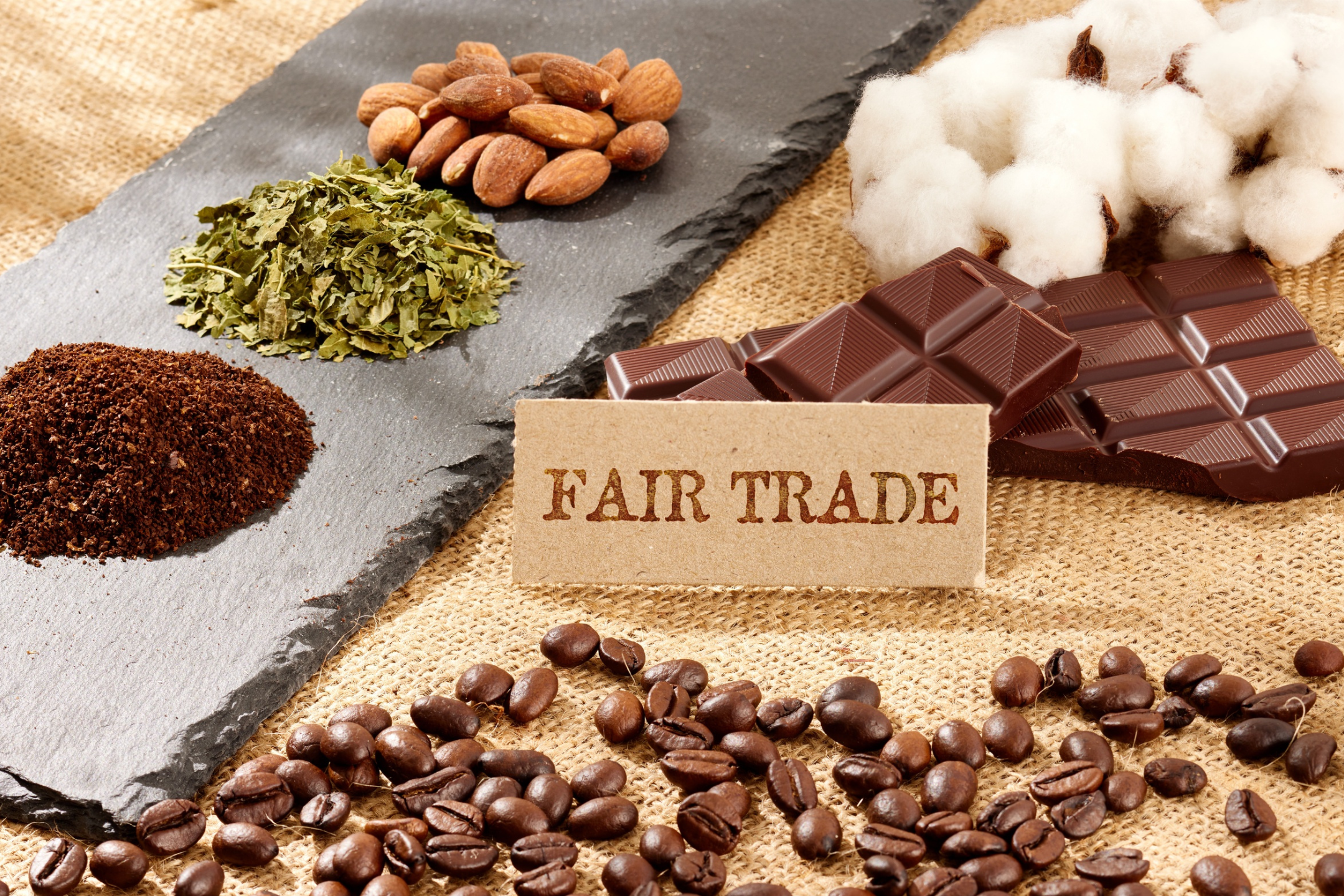US Tariff on Canada: Why Buy Canadian Matters